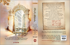 ספר שרה שנירר.png